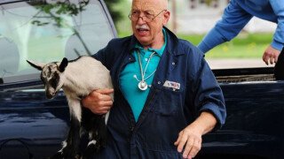 Calling Dr. Pol Season 4 Release Date