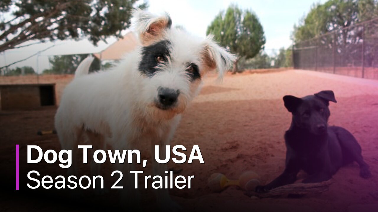 Dog Town, USA Season 2 Trailer