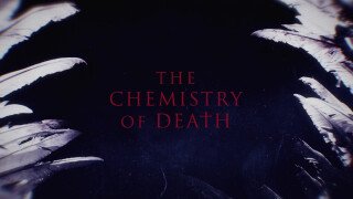 The Chemistry of Death Season 2 Release Date