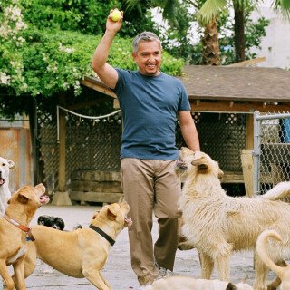 Dog Whisperer with Cesar Millan: Family Edition Season 4 Release Date