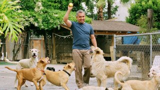 Dog Whisperer with Cesar Millan: Family Edition Season 4 Release Date
