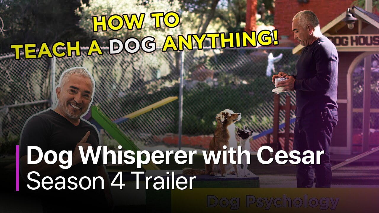 Dog Whisperer with Cesar Millan: Family Edition Season 4 Trailer